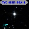 TYC 4355-709-1