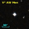 V* AW Men