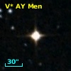 V* AY Men