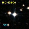 HD  43600