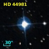 HD  44981