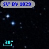 SV* BV  1029