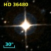 HD  36480
