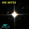 HD  36753