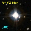 V* YZ Men