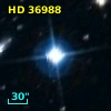 HD  36988