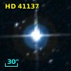 HD  41137
