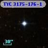 TYC 3175-176-1