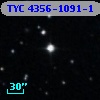 TYC 4356-1091-1