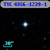 TYC 4356-1239-1