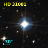 HD  31081