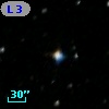 L   31-81