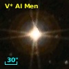V* AI Men