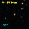 V* SV Men