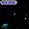 NSV  1555