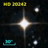 HD  20242