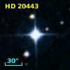 HD  20443