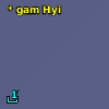 * gam Hyi