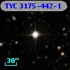 TYC 3175-442-1