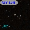 NSV  1141