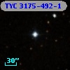 TYC 3175-492-1
