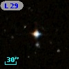 L   29-1