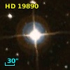 HD  19890