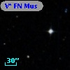 V* FN Mus