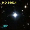 HD  36614
