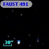 FAUST  491