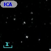 ICA 63