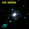 HD  36990