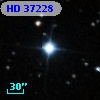 HD  37228