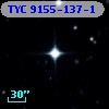 TYC 9155-137-1