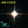 HD  17313