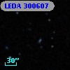 LEDA  300607