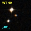 WT   40