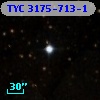 TYC 3175-713-1