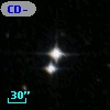 CD-56   229