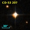 CD-53   207