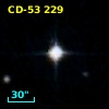 CD-53   229