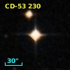 CD-53   230