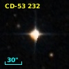 CD-53   232