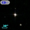CD-53   226