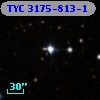 TYC 3175-813-1