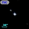 TYC 8031-31-1
