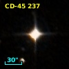 CD-45   237