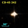 CD-45   242