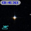 CD-45   263