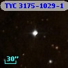 TYC 3175-1029-1